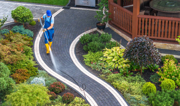 Best Pressure Washing Company Near Me  in Phoenix Lake, CA