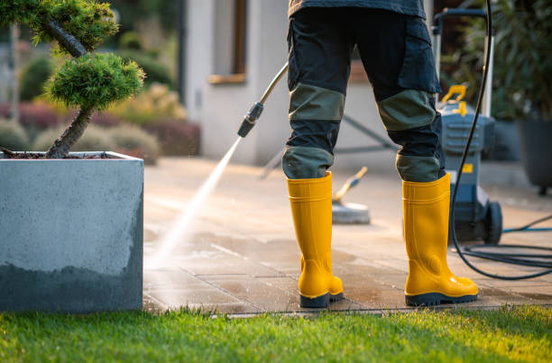Best House Pressure Washing  in Phoenix Lake, CA